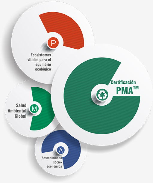 Sectores identificados como base para las certificaciones especializadas PMA™